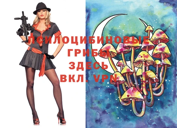 крисы Семилуки