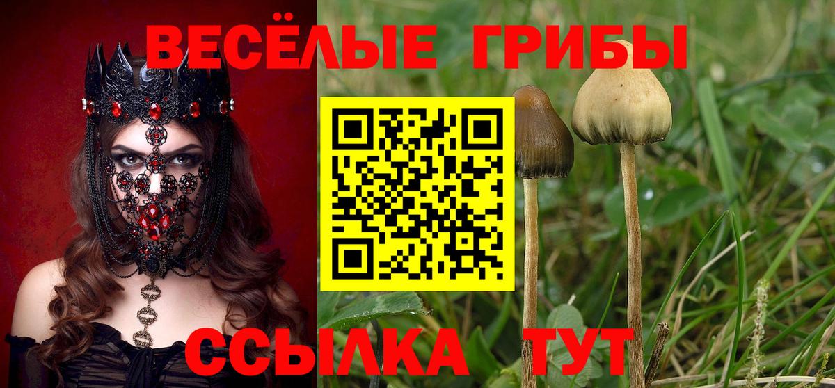 Абинск  Галлюциногенные грибы ЛСД  Вход с VPN 